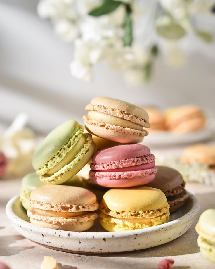 Macaron 