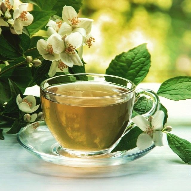 Bitki Çayları -Jasmine Tea