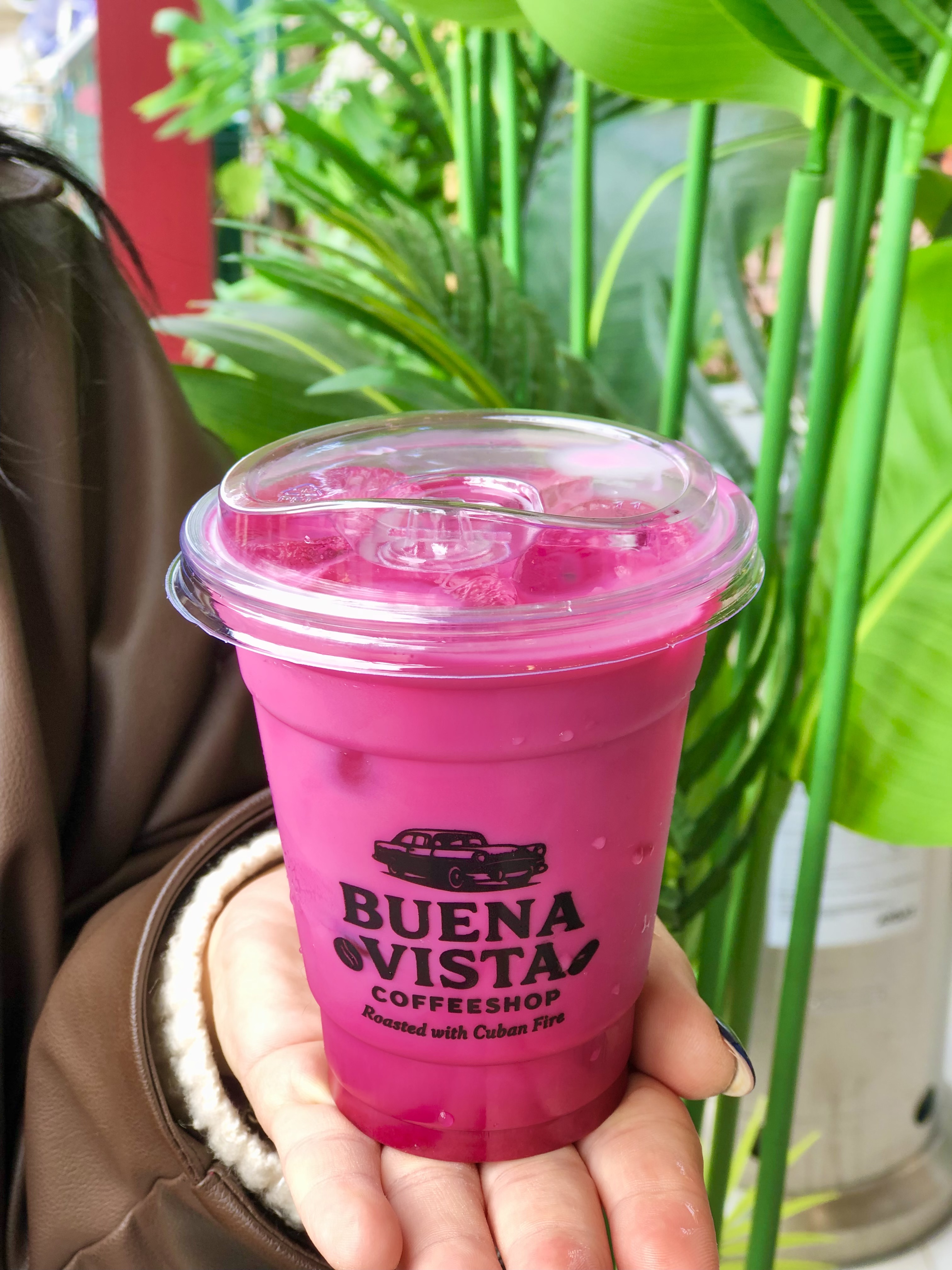 Iced Pink Matcha Latte